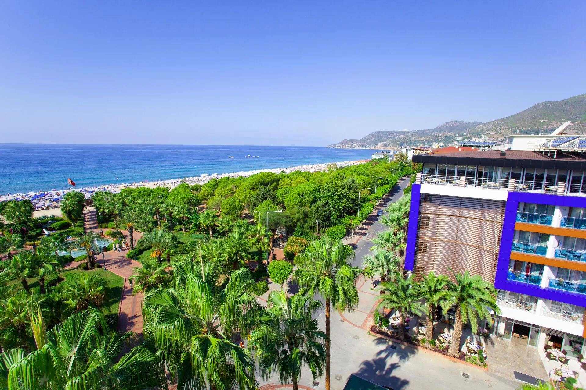 Turcija gardenia cover